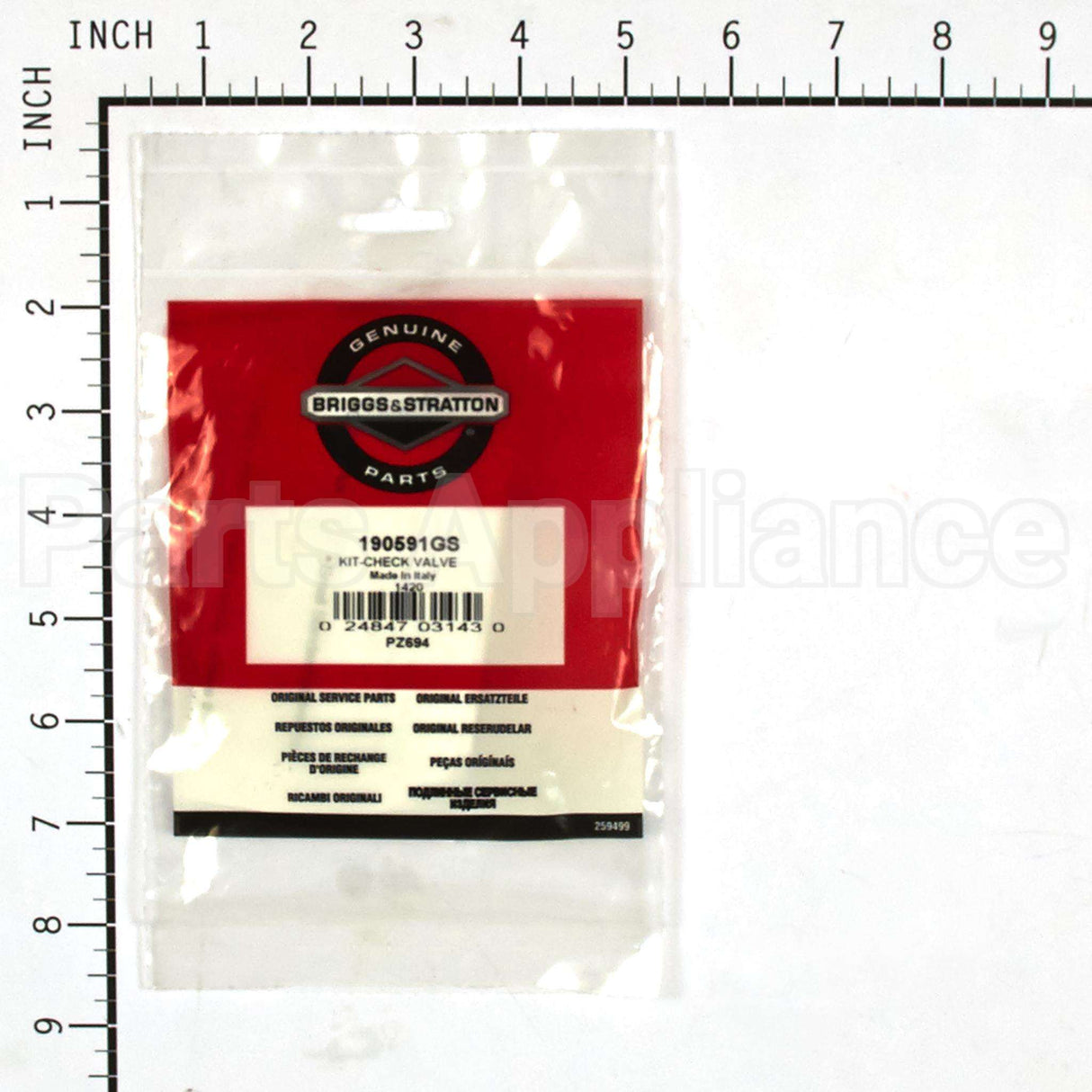 190591GS Briggs & Stratton Kit-Check Valve