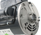 191012-D50OP Pennbarry 115/208-230V 1/2Hp Odp Motor