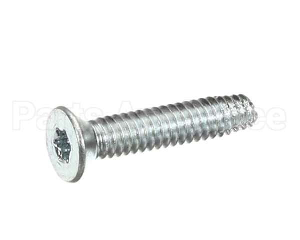 19216 International Cold Storag 1 1/4 Torque Screw
