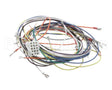19303 Blodgett Harness, Wiring Inf/8/3/1 Stpt