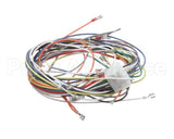 19303 Blodgett Harness, Wiring Inf/8/3/1 Stpt