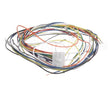 19306 Blodgett Harness, Wiring Control Comp