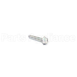 1930600SM Briggs & Stratton Screw-Hex Wshr Hd Tap
