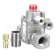 19323 Compatible Blodgett Safety Valve Assembly