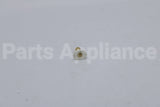 195983AMGS Briggs & Stratton Nozzle-Qc White