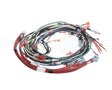 1966408 Garland Harness,Main Mcoe5