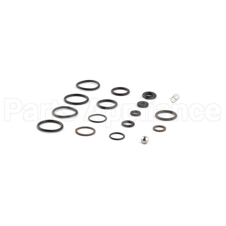 198847GS Briggs & Stratton Kit-O-Ring