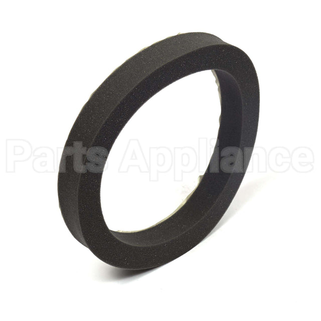 199629GS Briggs & Stratton Seal-Foam