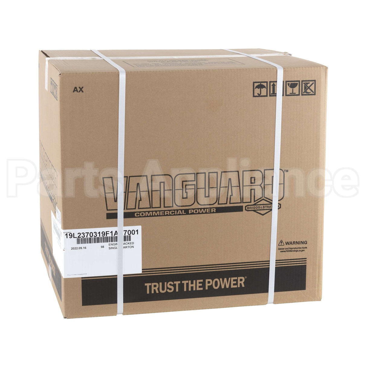 19L237-0319-F1 Briggs & Stratton Engine Packed Single Carton