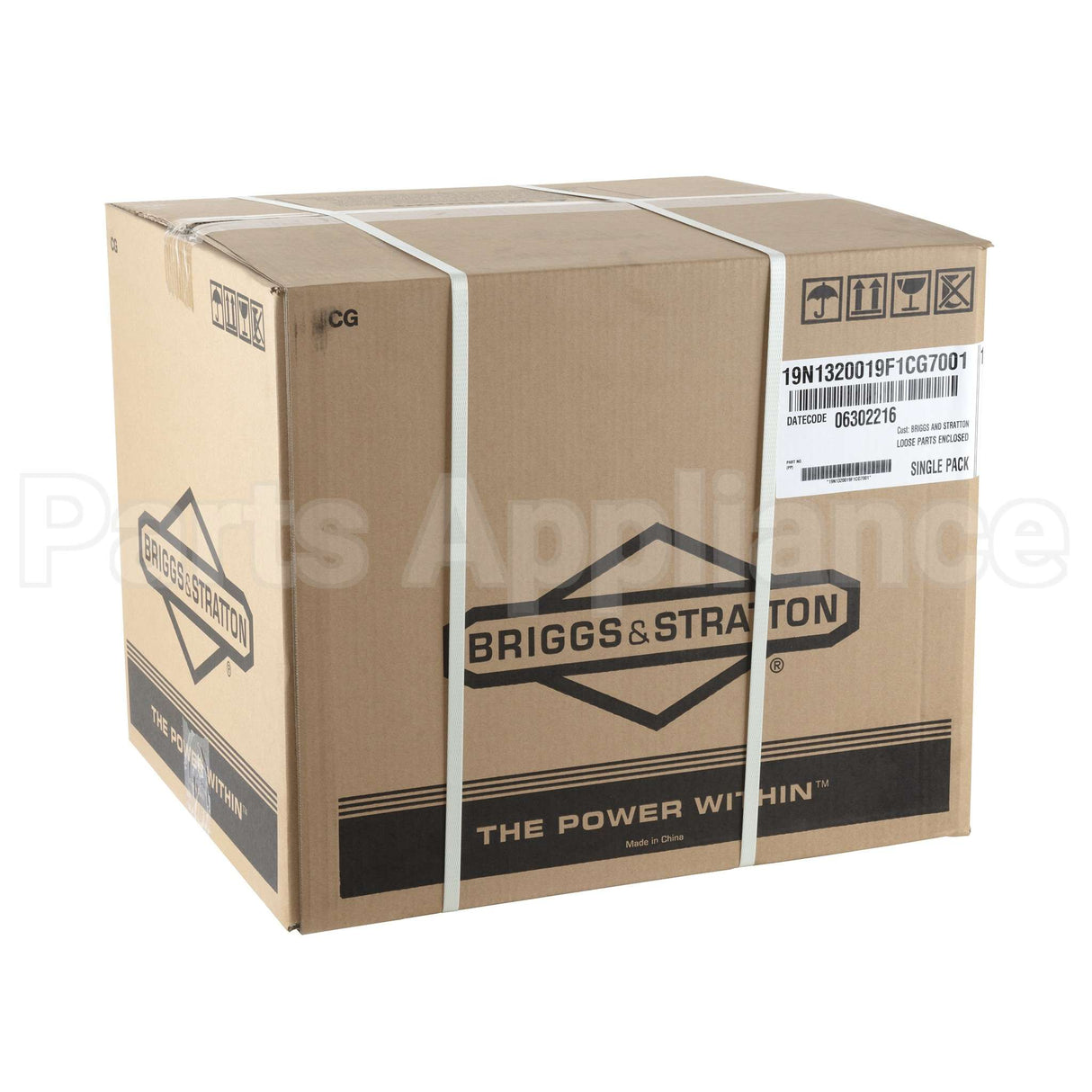 19N132-0019-F1 Briggs & Stratton Engine Packed Single Carton