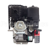 19N132-0051-F1 Briggs & Stratton Engine Packed Single Carton