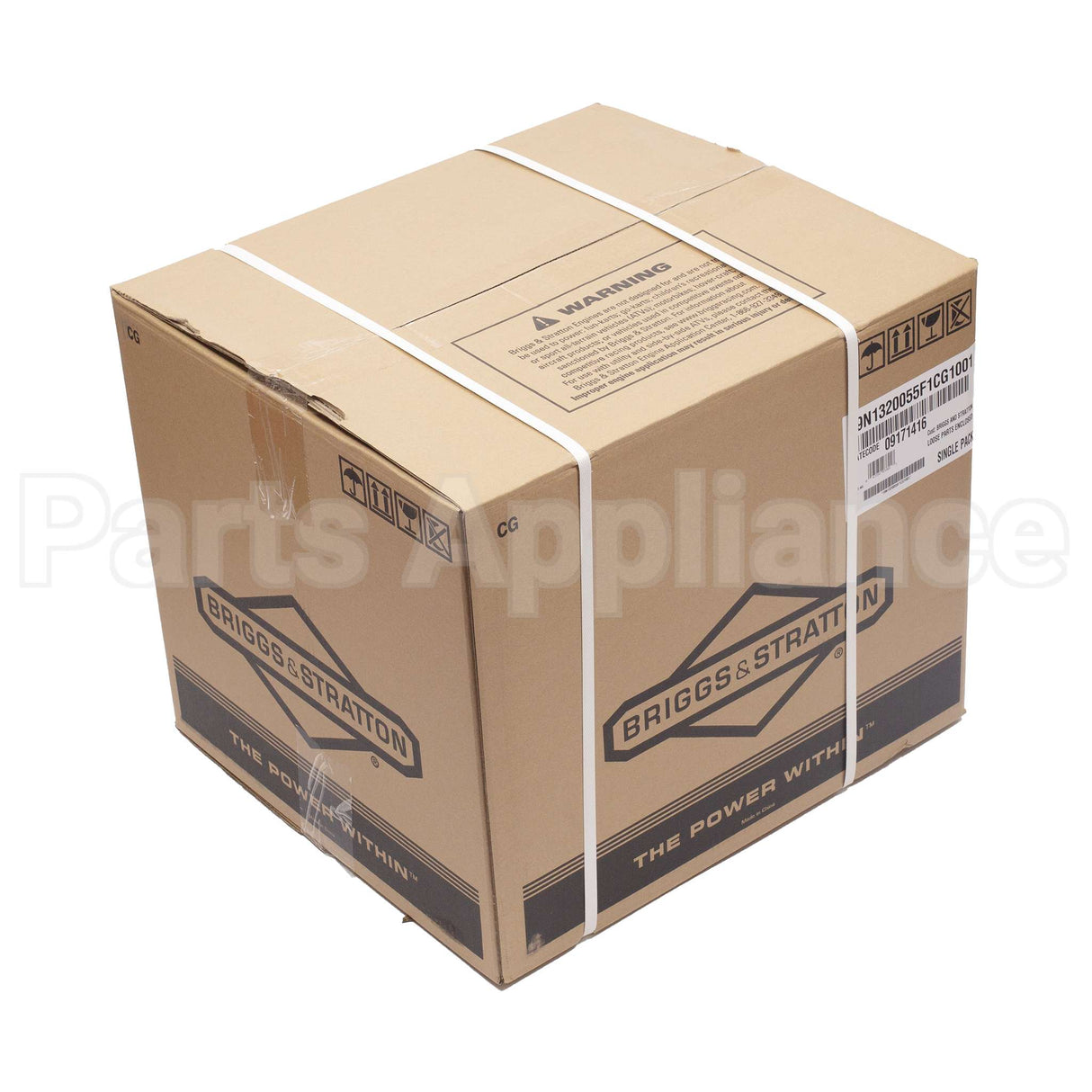 19N132-0055-F1 Briggs & Stratton Engine Packed Single Carton