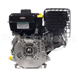 19N132-0055-F1 Briggs & Stratton Engine Packed Single Carton