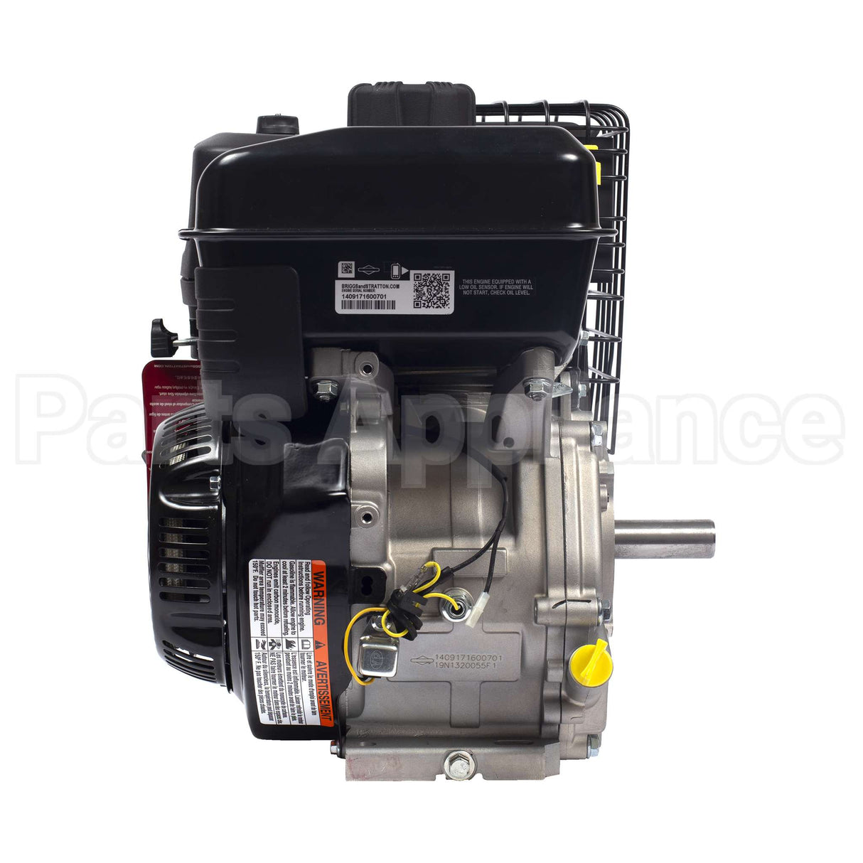 19N132-0055-F1 Briggs & Stratton Engine Packed Single Carton