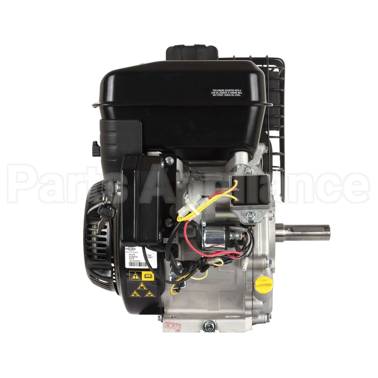 19N137-0242-F1 Briggs & Stratton Engine Packed Single Carton
