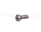 X10134B Globe Screw