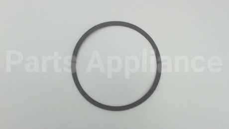 106050-000 Armstrong Fluid Technology 4.75" Body Gasket