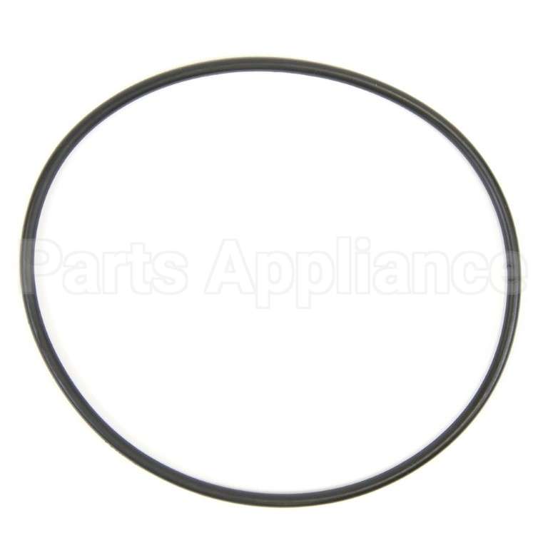 WS03X10054 GE O-Ring