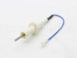 20-0654-9 Compatible Manitowoc Probe, Water Level