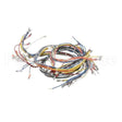 20018 Compatible Blodgett Harness Wiring Inf 2Sp