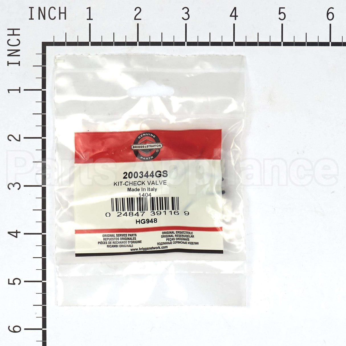 200344GS Briggs & Stratton Kit-Check Valve