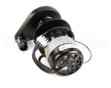 2008489 Manitowoc Ice Water Pump 115V 60Hz