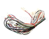 2009039 Manitowoc Ice Wiring Harness-Remote