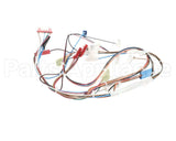 20116901 Amana Menumaster Harness-Oven 50