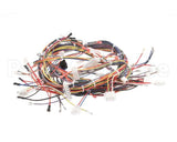 20161501 Amana Menumaster Harness-Oven