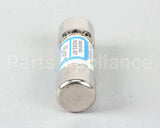 20162 Blodgett Fuse, 10A 300V Class G