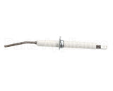 2020498N Giorik Ignitor, Probe, 061, 101, 201, Gas, Evo,