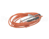 20261709S Goodman Flame Sensor