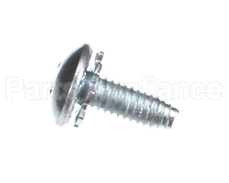 20275405 Amana Menumaster Screw-Metric/Truss