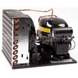 2029 Compatible Atlas Condenser Assy 1/5 Hp Wf-2