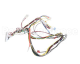 20292101 Amana Menumaster Harness-Lv
