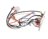 2032283 Manitowoc Ice Wiring Harness, 115V 60Hz
