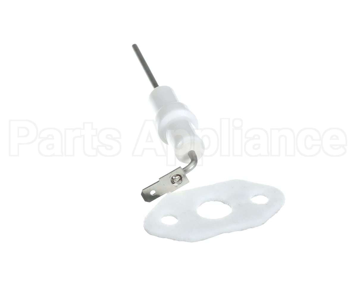 204000010 Rinnai Kit, Flame Rod & Gasket