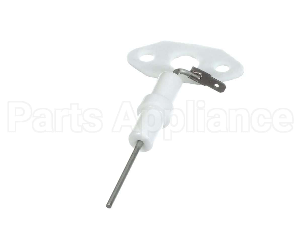 204000010 Rinnai Kit, Flame Rod & Gasket