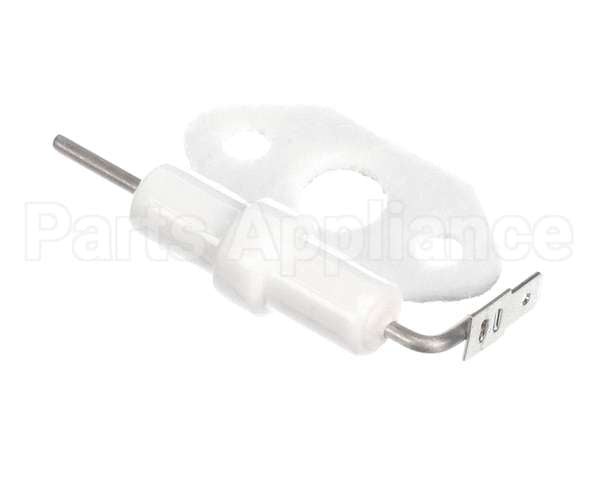 204000012 Rinnai Kit, Flame Rod & Gasket