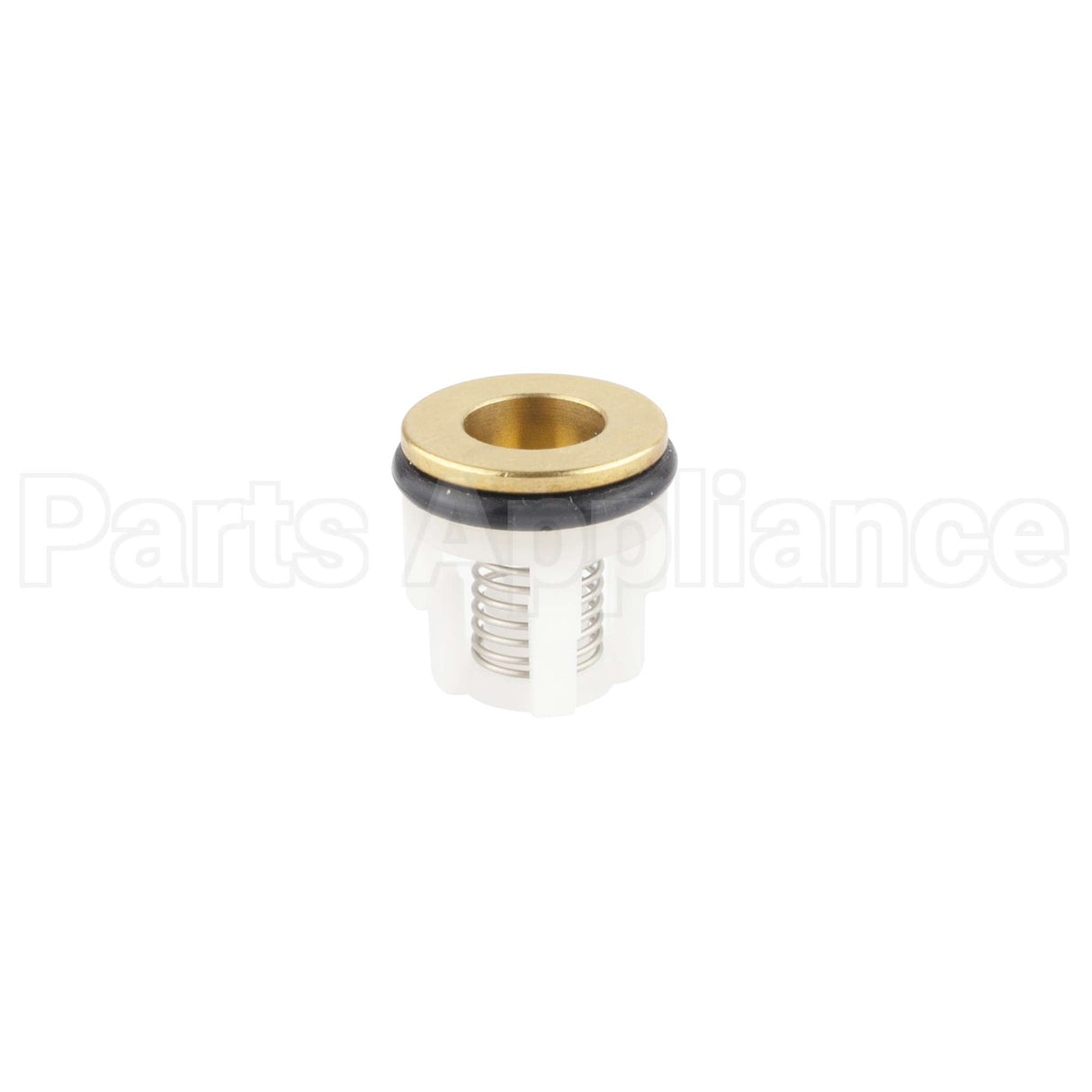 204082GS Briggs & Stratton Kit-Check Valve