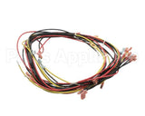 20444 Blodgett Harness, Wiring W/Cook