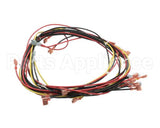 20444 Blodgett Harness, Wiring W/Cook