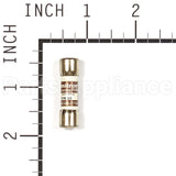 205110GS Briggs & Stratton Fuse