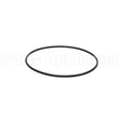 205324GS Briggs & Stratton O-Ring