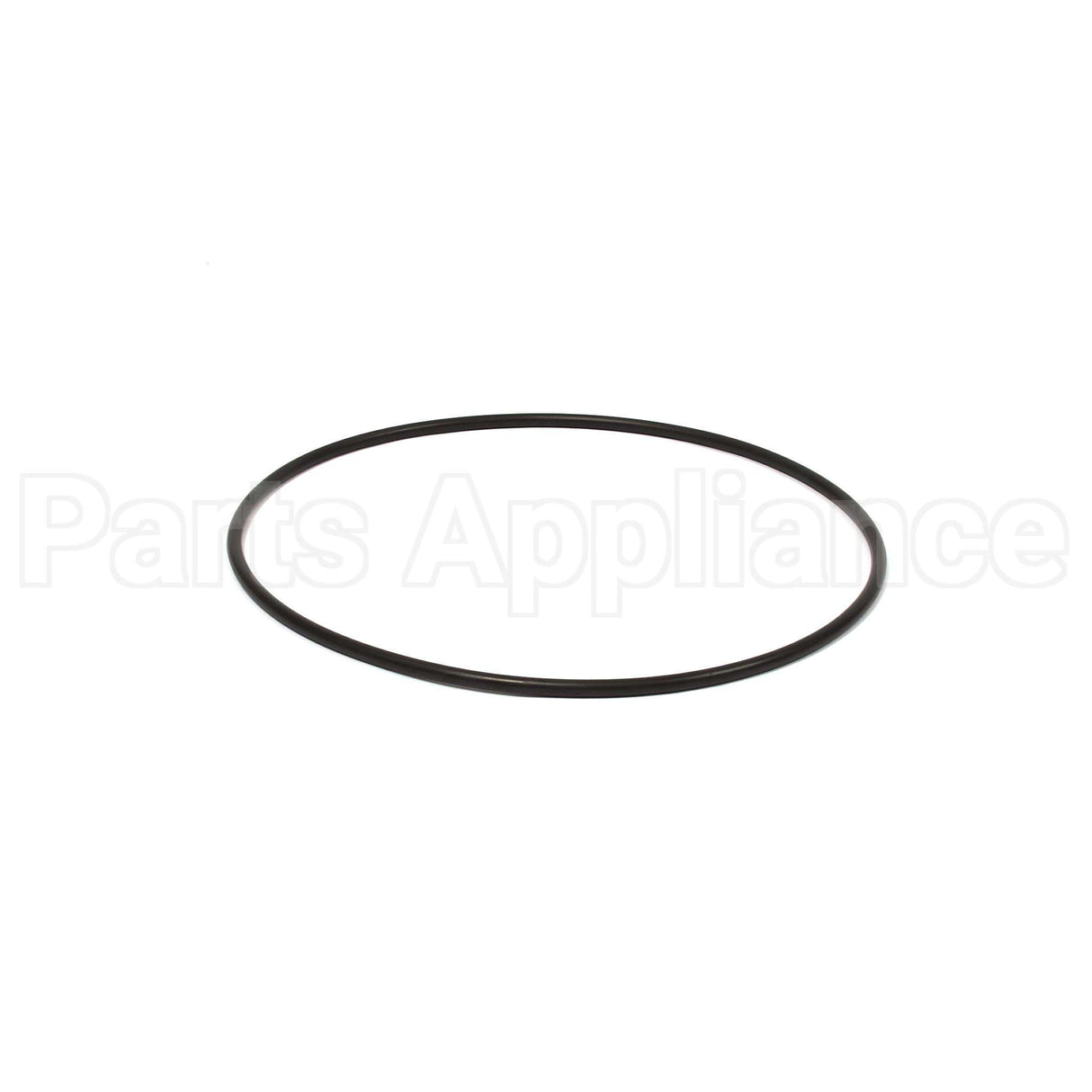 205324GS Briggs & Stratton O-Ring