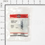 205912GS Briggs & Stratton Guide-Rope