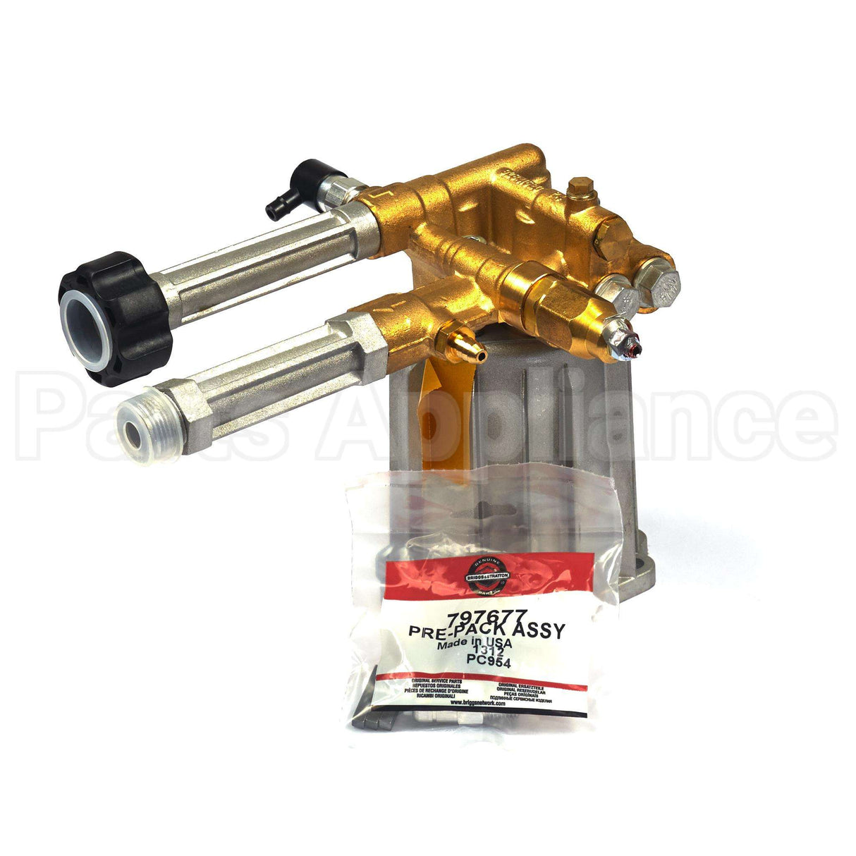 206376GS Briggs & Stratton Pump