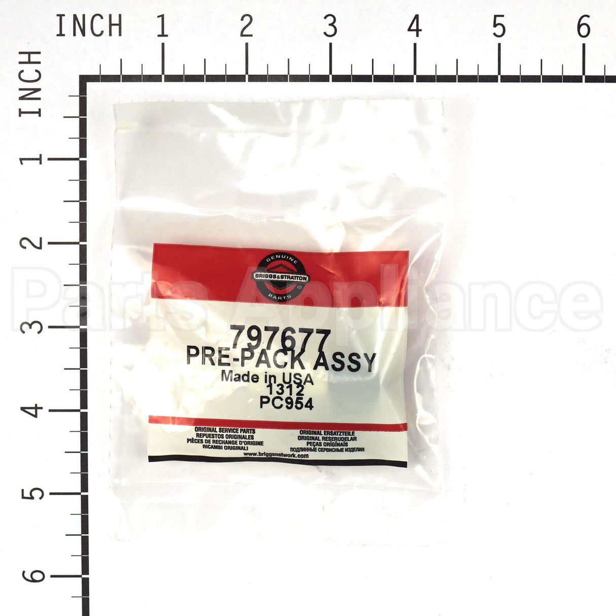 206376GS Briggs & Stratton Pump