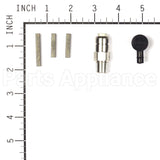206376GS Briggs & Stratton Pump