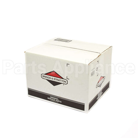 207365GS Briggs & Stratton Pump
